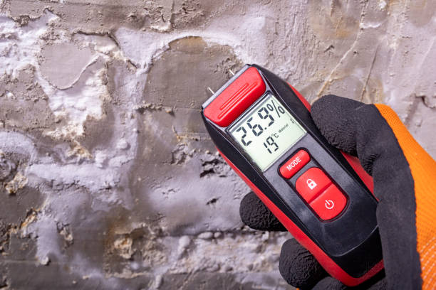 Best Residential Mold Removal  in Smith Mills, MA