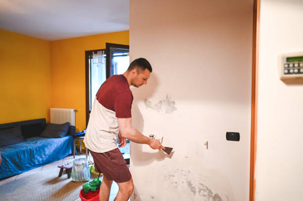 Best Mold Remediation Experts  in Smith Mills, MA