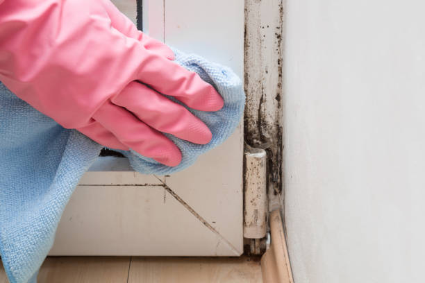 Water Damage Restoration in Smith Mills, MA